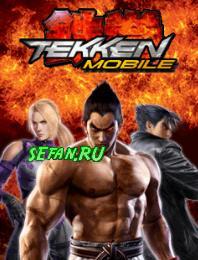 Tekken_Mobile_240.jar